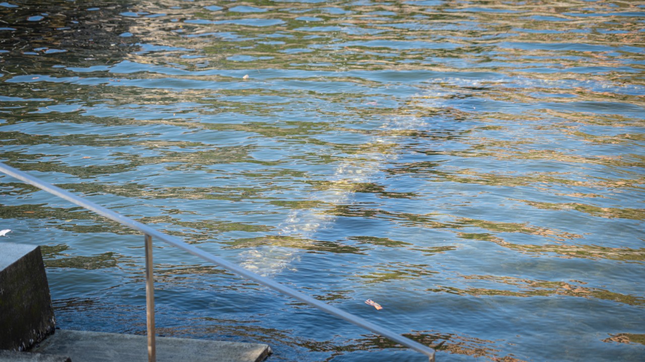 Recreational water quality report
